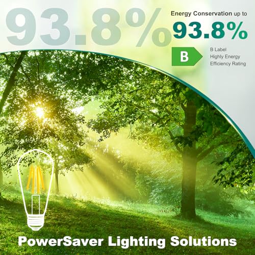 DiCUNO Vintage Light Bulb E27 Edison Screw Bulb ST58, 2.5W Equivalent to 40W, Energy Efficiency Class B Filament Glass LED, Warm White 2700K, 480LM, Non-dimmable, 2 Pcs