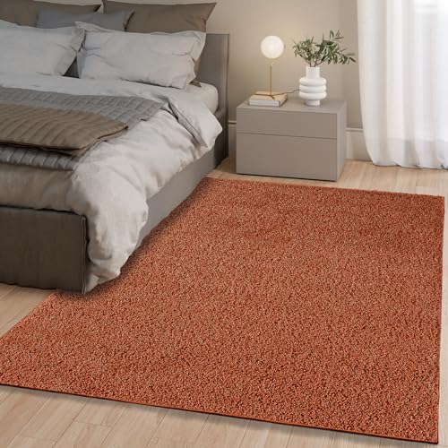 homeart Area Rug - Super Soft Shaggy Rugs For The Living Rooms, Bedrooms And Kitchen - Modern, Easy To Clean Carpet - 180x270 cm, Terra