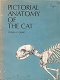 Pictoral Anatomy of the Cat