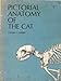 Pictoral Anatomy of the Cat
