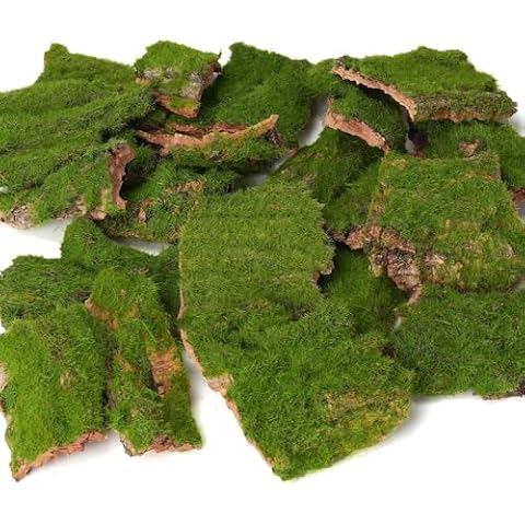 BYHER Assorted Artificial Moss Bark, Decorative Mossy Tree Bark for DIY Crafts, Fairy Gardens, Terrariums, Floral Arrangements (Realistic Green - 100gr) Cover