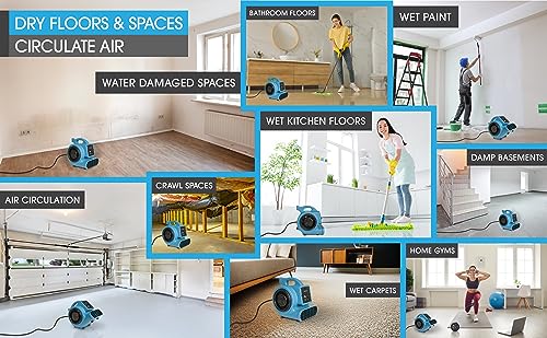 PURAERO Mini Air Mover | Secador de carpete e ventilador | Ventilador de piso de alta velocidade par