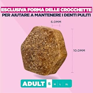 EUKANUBA Cibo secco per Cani con pollo fresco per razze di taglia piccola - Alimento secco premium per Cani adulti, 3 kg