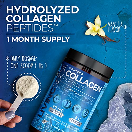 Living Silica Hydrolyzed Bovine Collagen Peptides | With Hyaluronic Acid, Biotin, Silica & Vitamin C | Premium Collagen Powder Supplement | Vanilla Flavor | (330 G / 33 Servings) #TOP3