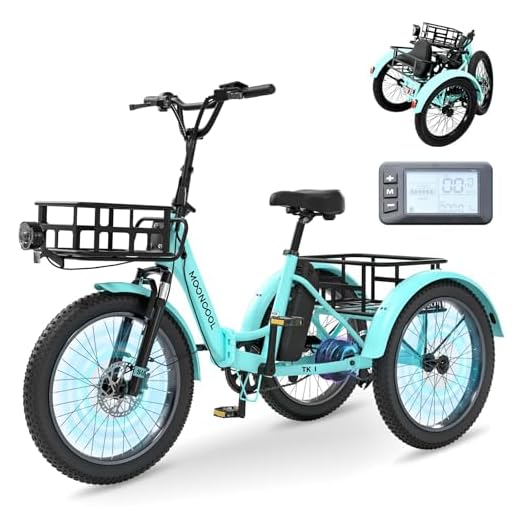 MOONCOOL E Bike Klapprad, 20" E Bike Herren Damen Mit 36V 20AH Akku, 250W Motor Elektrofahrrad, LCD-Display, Höchstgeschwindigkeit 25 KM/H, IP65, 45 NM Electric Bike Mit GroßEn KöRben und Fußstützen