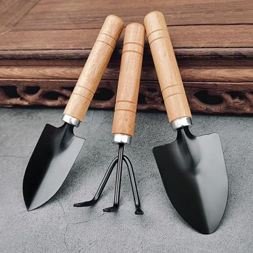 Rukinovi 3 Pcs Garden Tools,Mini Gardening Tools,Gardending Hand Tools Kit for Seedling for Succulent,Home Plants,Garden Potted Plants Etc Indoor Plant Accessories