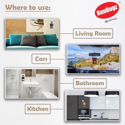 Runbugz Activated Charcoal Air Purifiers Dehumidifier for Home - Image 7