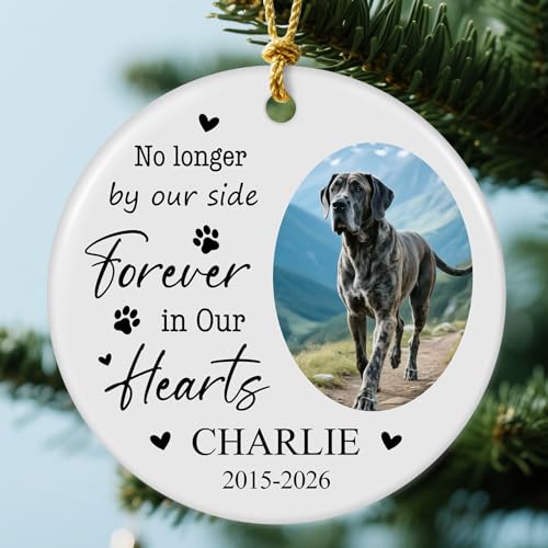 Custom Pet Memorial Gifts for Loss of Dog Cat Personalized Forever in Our Hearts Dog Memorial Ornament with Photo Name & Date Sympathy Gifts Keepsake for Pet Lovers Ceramic S5