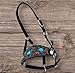 Majestic Ally Equestrian Designer Bronc Halter for Horses, Hand-Tooled Leather Nose, Padded Nylon Crown and Noseband (Turquoise Carnation, Black, Full)