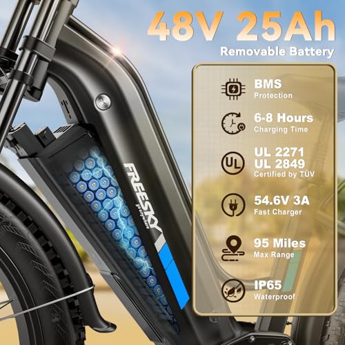 FREESKY Dual Motor Electric Bike Riding Performance