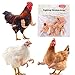 Enrichoice 3 Pairs Chicken Toys Include Strong Muscle arms Thumb up arms and T-Rex Chicken arms to Put on Chickens