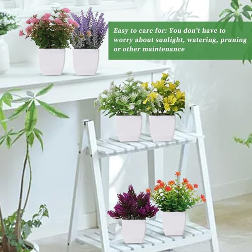 Home Page - Paul - Cosy Home Interiors