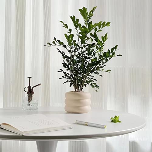 Sandybaytas Ceramic Plant Pot Indoor, 4.5 Inch Beige Flower Pot With Drainage Hole, Small Bubble Design Ceramic Planter For Home & Office Decor #TOP5