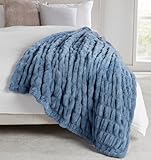 Springtree Home | Luxury Plush Throw Blanket | Blue Throw Blanket | Perfect Blanket for Couch Year Round | Fluffy Micro Fleece | Lily Collection - Spring Lake