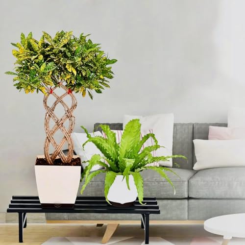 Image of Bee Creative Plant Stands for Outdoor Balcony, Flower Pot Stand for Indoor Plants, Large Metal Planter Stand for Living Room, home decor, Indoor & Outdoor plants Stand (SINGLE STEP B)