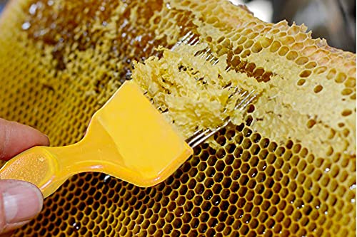 Beekeeping-Stainless-Steel-Uncapping-Fork-with-21-Tines-Stainless-Steel-Bee-Keeping-Tool