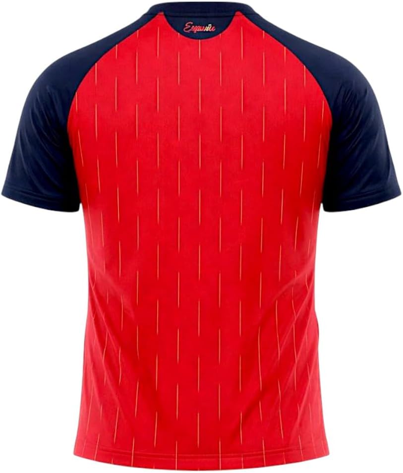 Selección Española Camiseta Mundial 2026-2028 2 Estrellas Réplica Oficial Liso, Color - Détails et caractéristiques