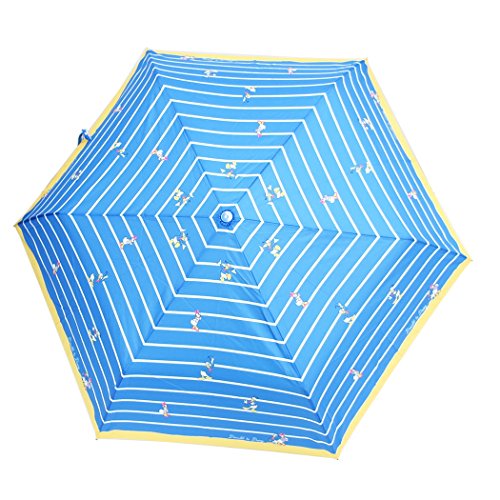 ドナルド＆デイジー[折畳傘]レディース折りたたみ傘/ボーダー ディズニー