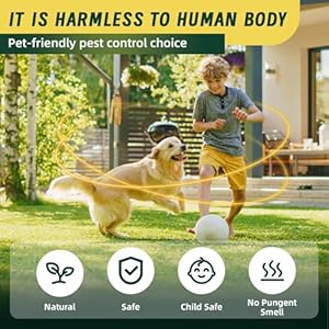 Pest Repellent Balls, Rodent Repellent,High-Strength Mouse Repellent Peppermint,Mice Repellent,Rat Repellent Repels Rodents,Spiders, Roaches,Ants,Moths & Other Pests 10 Balls/Bag