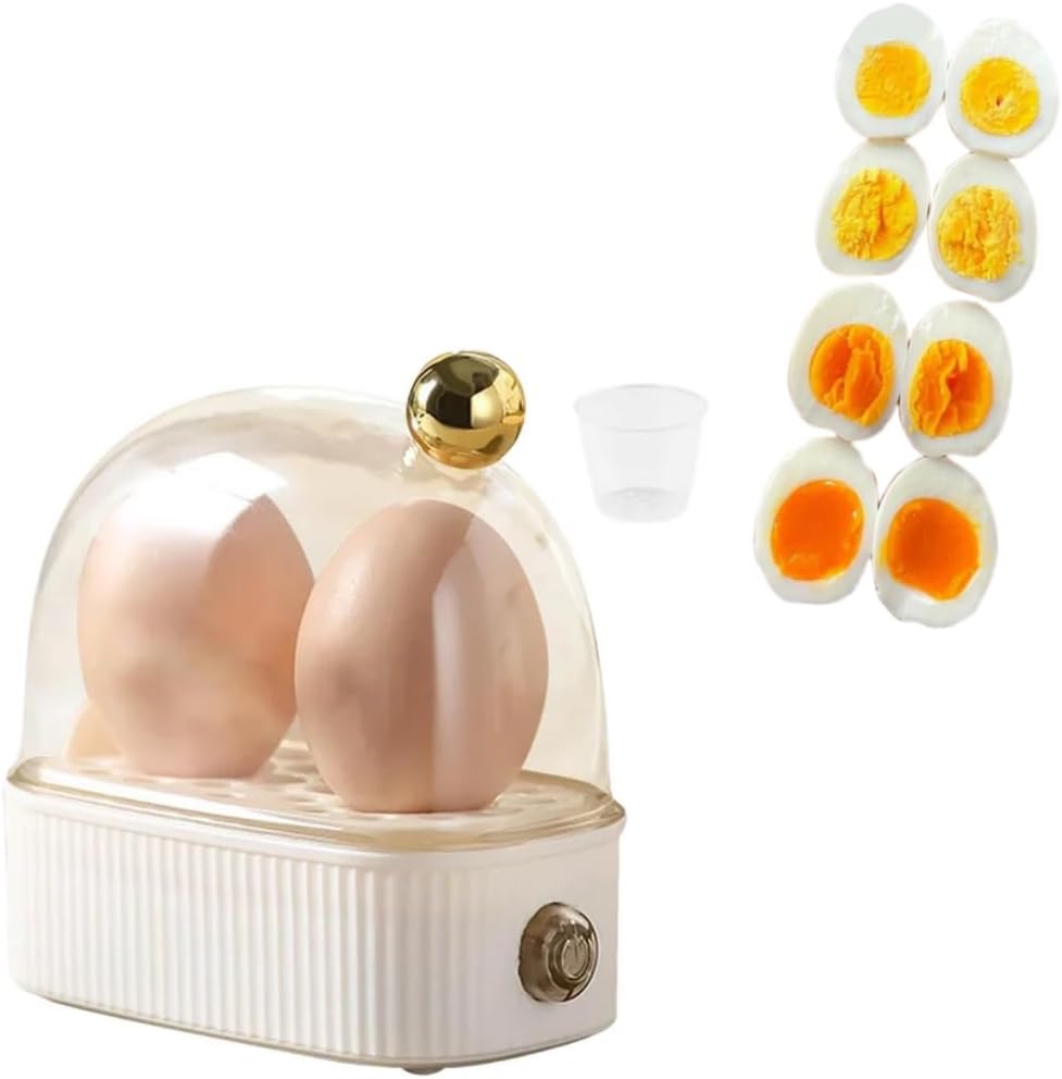 Electric Hard Boiled Egg Maker Steamer,Rapid Egg Cooker Electric 2 Eggs Capacity