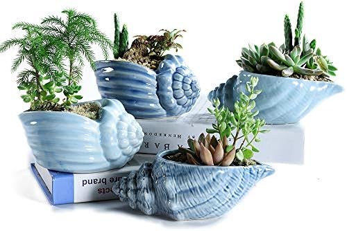 Sun-E 5.5 Inch Blue Conch Ocean Series Ceramic Base Serial Set Succulent Plant Pot Cactus Plant Pot Flower Pot Container Planter with Drainage Hole Gift Idea 4 in Set(Plants Not Included)