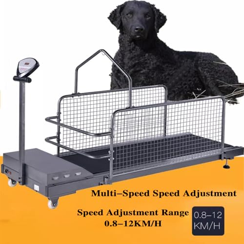Dog Treadmill with Display Screen