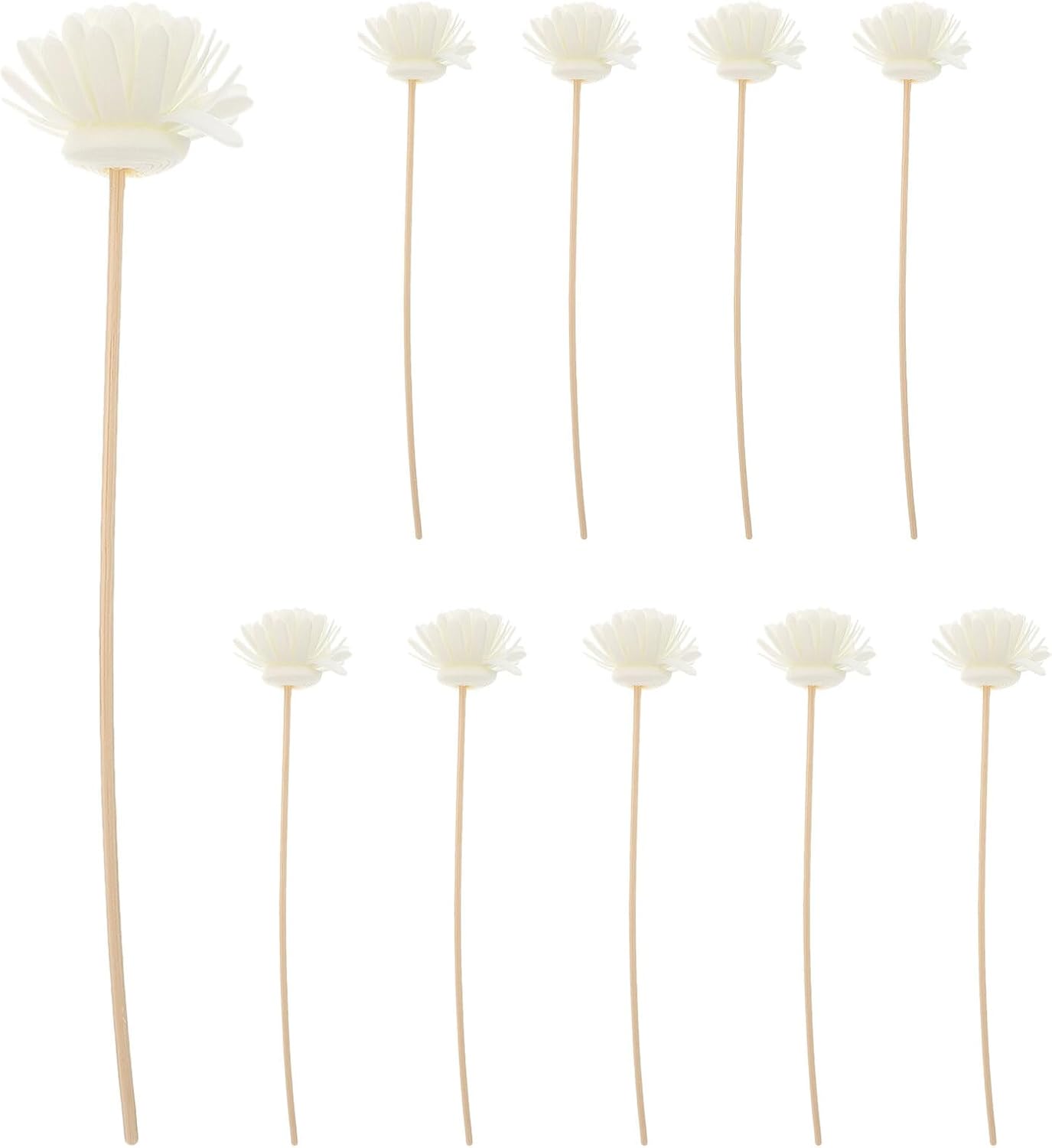 Chrysanthemum Scented Reed Diffuser Sticks 10Pcs White Rattan