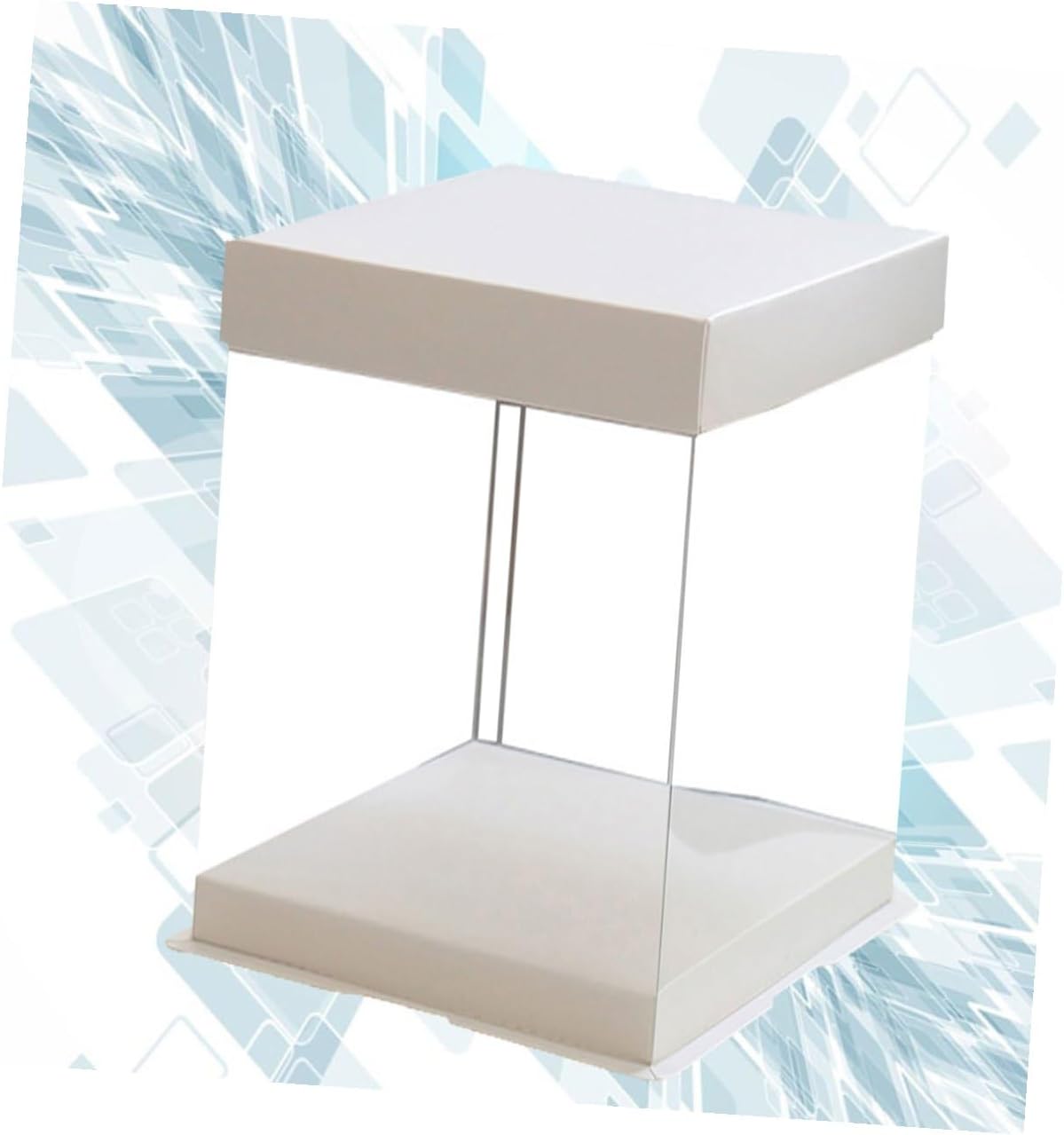 Cake Container 12 Inch Plastic Birthday Dessert Storage Box