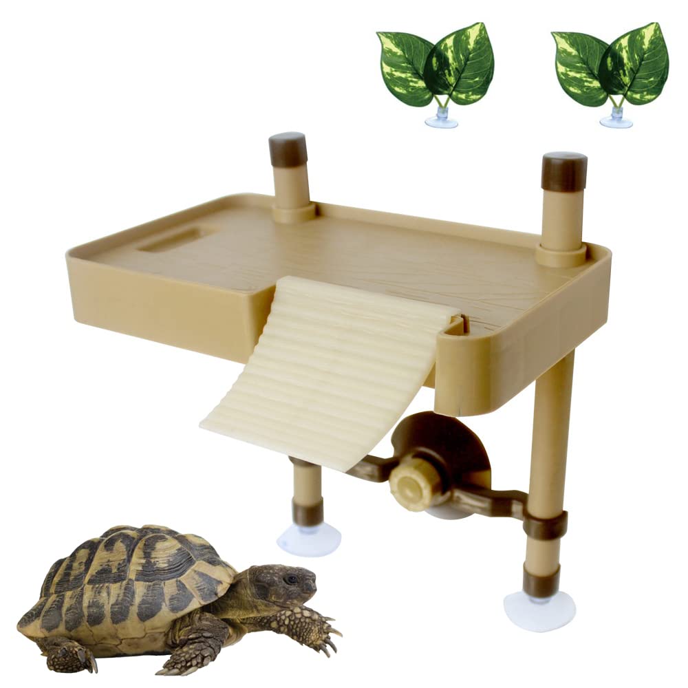 Plataforma Tortugas, Plataforma Flotante de Reptiles, Tortuga Flotante Basking Plataforma con Ventosa, eneldo Verde(Size:S)