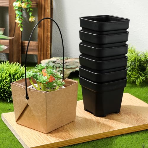 Mini macetas con agujeros de drenaje pack de 12 y bolsas kraft para recuerdos vivos 6