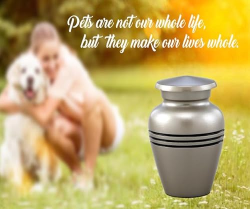 Immortal-Memories Serenity Keepsake Urn for Ashes - Miniature Urns - Mini Jar - Pet Urn - Token Urn with Velvet Bag (Pewter)