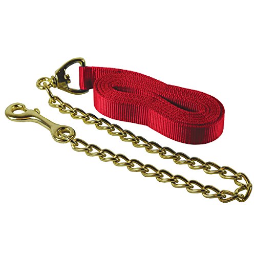 Country Pride Flat Nylon Lead, 24 Inch Chain, Color Red