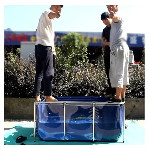 Piscina in tela di PVC con telaio in acciaio – Piscina fuori terra rettangolare pieghevole con finestra di visualizzazione trasparente per uso esterno