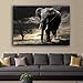 Produktbild EBONP Leinwanddruck Leinwand Gemälde Wand dekorative Kunstwandkunst Elefantenbilder Leinwandmalerei Home Moderne Dekoration dekorative Malerei für Wohnzimmer schöne Bilder-24x36inch
