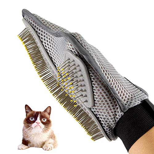 Chat Gant Outil
