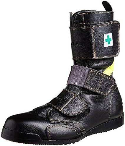 ブラジル産　ミズスマシ　20mm 51MCDMMmMML._AC_.jpg