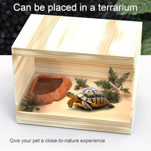 Genérico Wasserschale für Schildkröten, Schwimmbecken, Drache, Barbudo- Wasser- und Futterschale für Schildkröten im Terrarium für Gecko, Schlange und bärtiger Drache-3