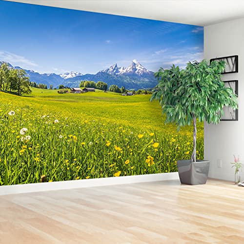 Papier peint protection 250x104cm Tulup pour masquer un mur abîmé