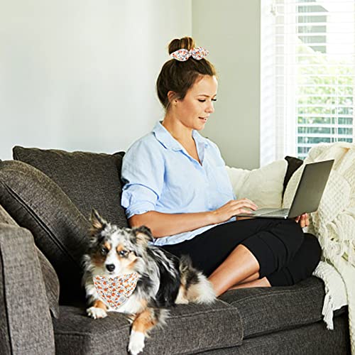 E-Clover Fall Dog Collar & Matching Scrunchie Set Flower Print Dog Collar Bandanas Girl Adjustable Collars For Small Medium Dogs Puppy Cat Owner Orange #TOP4