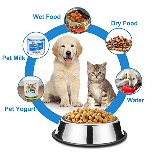 Rxyia Dog Bowl Stainless Steel Dog Bowl with Rubber Base for Small/Medium/Large Dogs,Kittens (Set of 2) (40oz) - Image 7