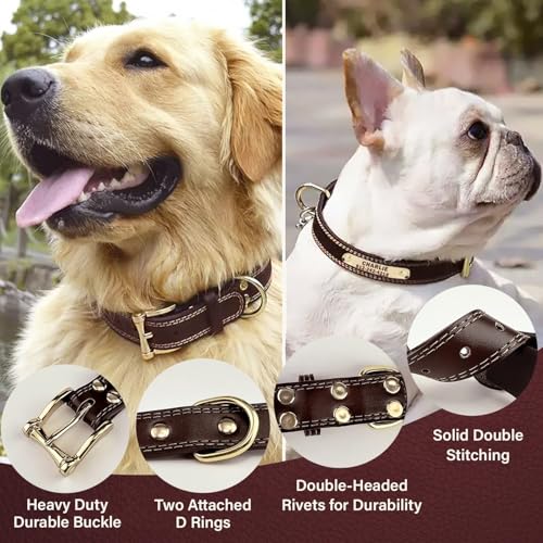 Personalisiertes Hundehalsband - Individuelles Hundehalsband aus Leder mit gravierbarem Namensschild. Robustes Namensschildhalsband, Bequeme ID-Halsbänder für kleine, mittelgroße und große Hunde
