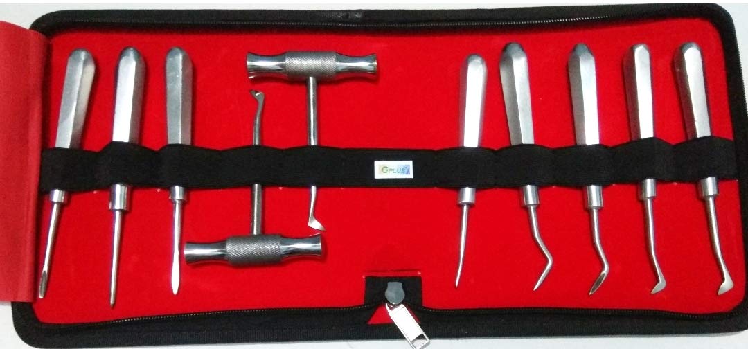 GPLUS Deluxe Quality Dental Elevator 10 Pcs. Set (B08KRKJ6M7) Amazon Price History, Amazon Price Tracker