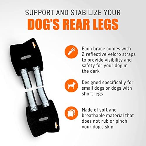 Neoally - Short Rear Leg Hock Brace, Dog Leg Brace For Rear Leg, Hock & Ankle Support, Dog Brace For Torn Acl & Ccl, Dog Leg Sleeve With Reflective Straps, Medium, Black, 1 Pair #TOP4