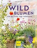 Wildblumen für Balkon und Terrasse: Mit einheimischen Arten Lebensraum für bedrohte Insektenarten schaffen (GU Gartenpraxis)