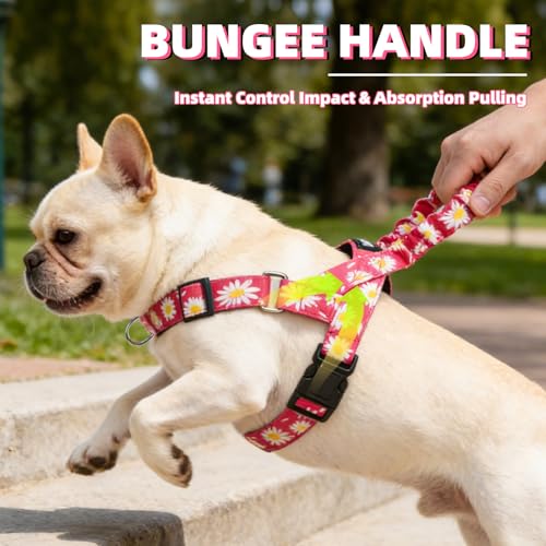 Image of PUPTECK No Pull Dog Harness Small Sized Dog, Adjustable Reflective Pet Vest Harness with Bungee Handle, Escape Proof No Choke Harness for Small Dogs Walking Training, Fuschia Daisy S