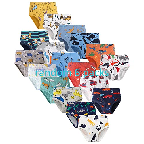 Boys' Dinosaur Briefs Assorted Underwear 6-Pack for 2-10 Years