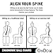 CanDo Metal Ball Chair - Inflatable Ergonomic Active Seating Exercise Ball Chair With Air Pump for Home, Office, and Classroom
