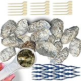 Amazing Owl Pellet Dissection Kit - 15-Piece Owl Pellet Set for Science Lab Projects - w/Tweezers, Magnifying Glasses and Wooden Probes - Ideal for Kids, Class Projects - Bonus Barn Owl eBook