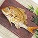 天然真鯛焼き お食い初め 食べきりサイズ 山形県産 祝い鯛 天然 真鯛 焼鯛 塩焼き マダイ 鮮魚 海鮮 尾頭付き 冷凍◆