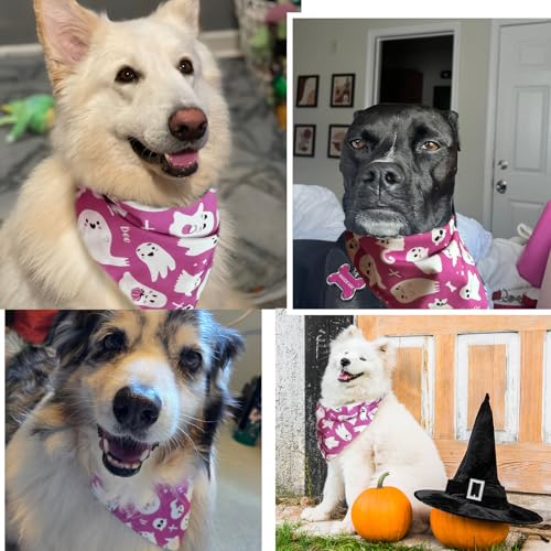 Pañuelo para perro Halloween Fantasma Rosa Talla L miniatura 5